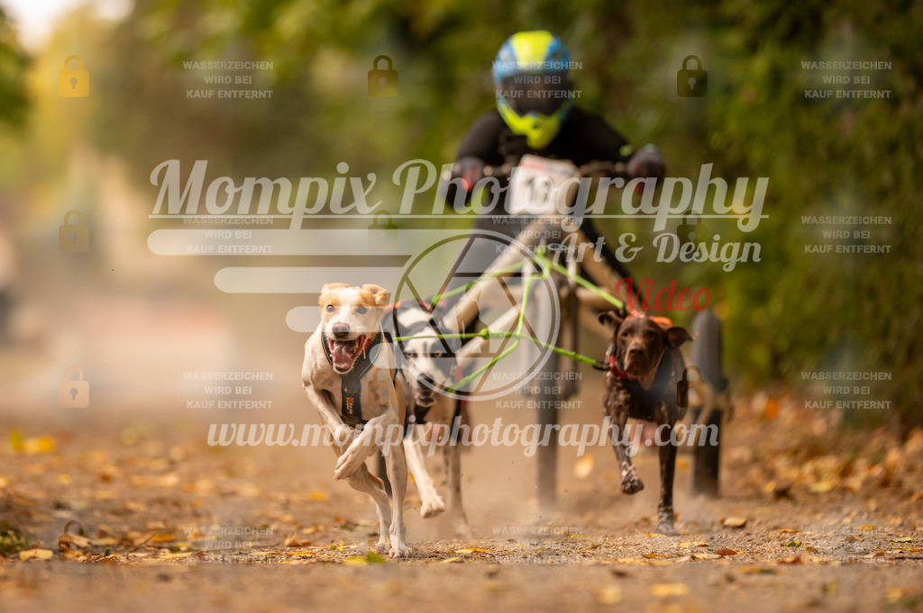 CDLBDB_14_10_2023_Samedi-8 | PayLife