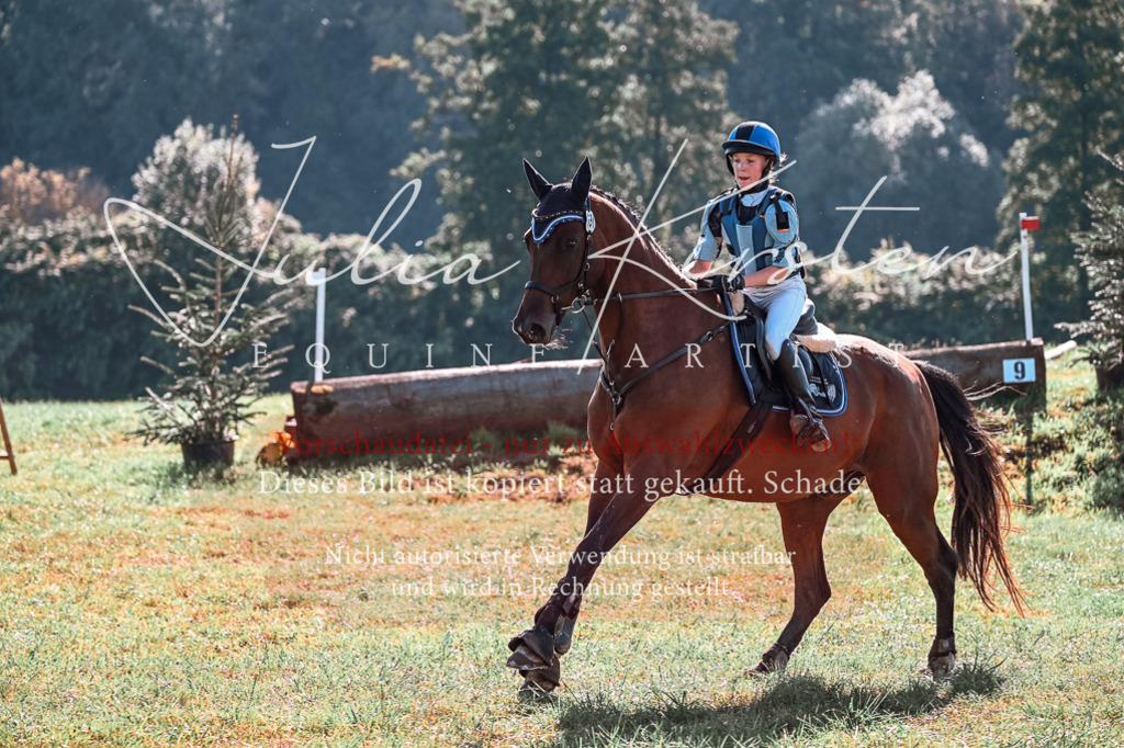 DSC_0813 | Pferde- und Turnierfotografie in Westsachsen. Pferdeportraits, Auftragszeichnungen und intuitive Kunst.