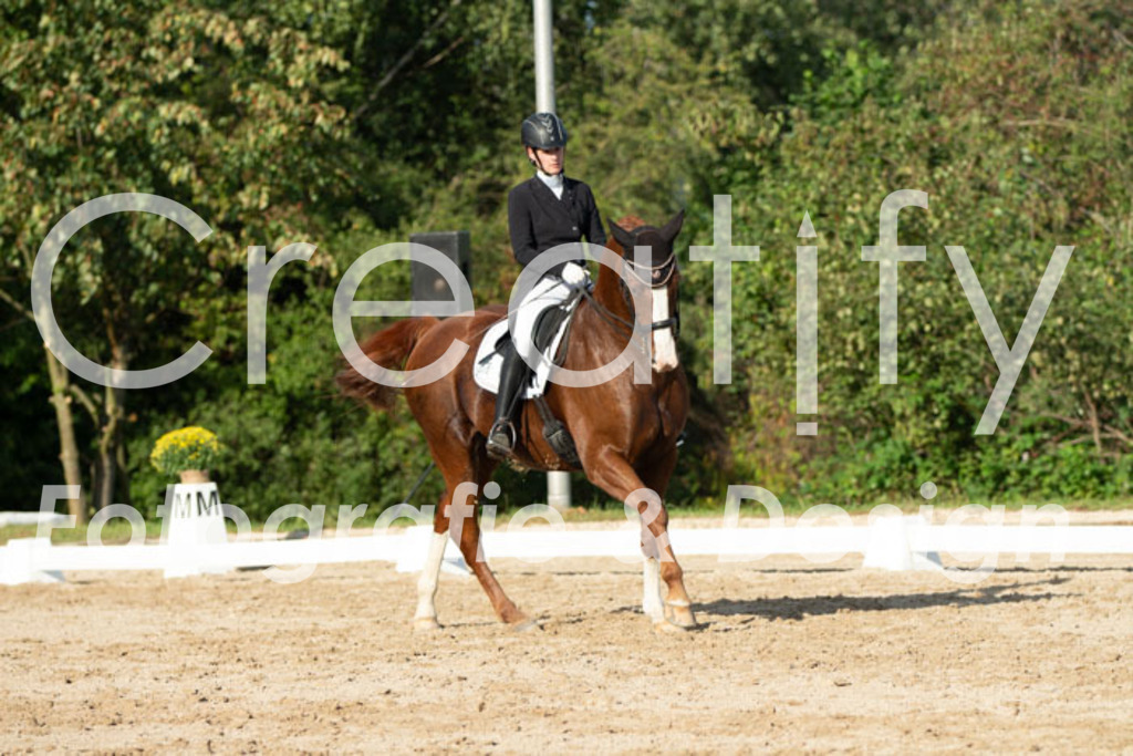 IMG_4920 | Creatify Fotografie