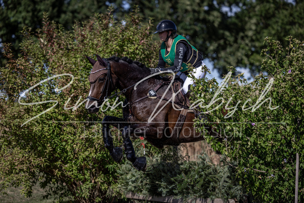 20260906-_3LI5737 | Tierfotografie Pferde, Hunde, Katzen, Haustiere.
Turnierfotografie Reitturniere, Reiten, Springreiten, Dressur in Hanau, dem Main-Kinzig-Kreis und dem Rhein-Main- Gebiet um Frankfurt