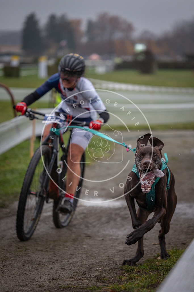 CaniXpix_0L8A1074 | Hundefotografie, Tierfotograf, Pfotenfotografie, Fotoshooting Hund, Hunde Portrait, Hundesport, Hundeportraits, Heideshooting, Hunde, Sportfotograf, Hundefotograf, Turnierhundsport, THS,  - Realisiert mit Pictrs.com