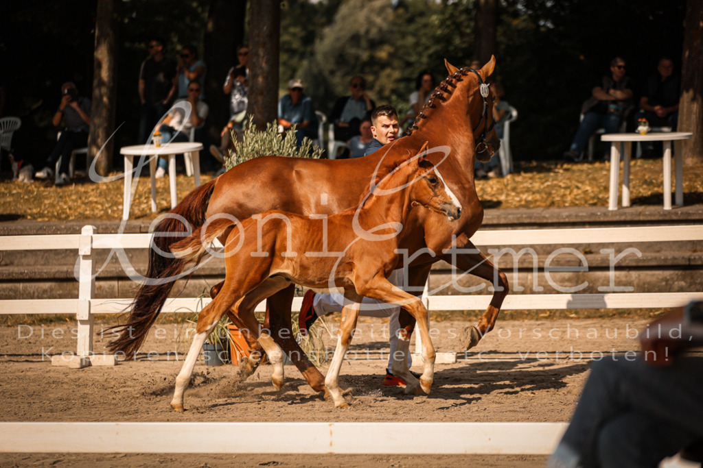 09.DoWBD00018 | Leoni Ertmer Photography - Realisiert mit Pictrs.com