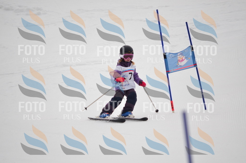 B9830 | holidayphoto