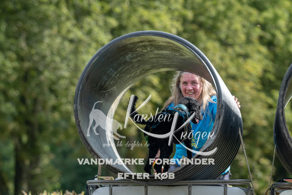 0944_ZZ90955 | kk-dogfotos