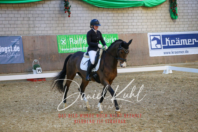 IMG_3015 | Turnierfotos kaufen im Webshop von Daniel Kuhl Photography – entdecke professionelle Reitsportfotos aus Turnieren & Events. Hochwertige Turnierbilder online bestellen & sichern. Jetzt Fotos von Reitsportturnieren kaufen!