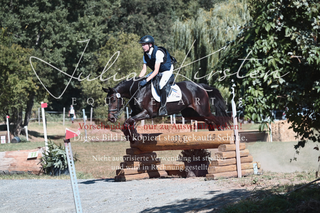 DSC_8450 | Pferde- und Turnierfotografie in Westsachsen. Pferdeportraits, Auftragszeichnungen und intuitive Kunst.