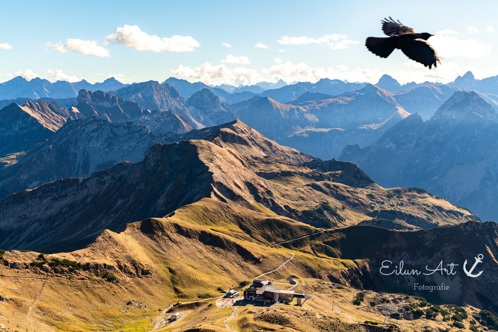 20241029-EAF_5101 | Eilun-Art-Fotografie Levke Martens, ihre Fotografin für Immobilien- und Landschaftsfotografie auf Föhr, Föhrer Motive als Poster, Leinwand, hinter Acrylglas oder stelle dir deinen eigenen Monatskalender zusammen, mit nur einem Klick