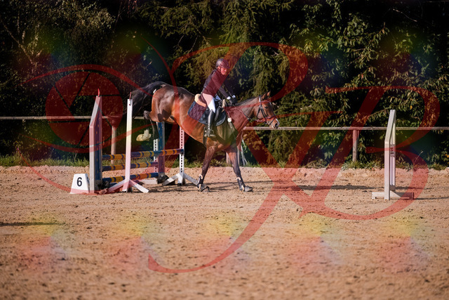 2026_10_03_Siefer-Hof_160007_Z81_80642130 | Professionelle Reitsport-, Turnier- und Eventfotografie von Robert Broda. Galerien mit ausgewählten und bearbeiteten Bildern direkt online ansehen und bestellen.