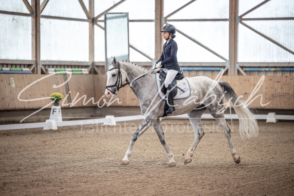 20251011-_3LI9141 | Tierfotografie Pferde, Hunde, Katzen, Haustiere.
Turnierfotografie Reitturniere, Reiten, Springreiten, Dressur in Hanau, dem Main-Kinzig-Kreis und dem Rhein-Main- Gebiet um Frankfurt
