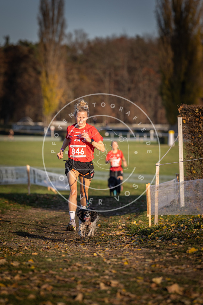CaniXpix_DV3A3783 | Hundefotografie, Tierfotograf, Pfotenfotografie, Fotoshooting Hund, Hunde Portrait, Hundesport, Hundeportraits, Heideshooting, Hunde, Sportfotograf, Hundefotograf, Turnierhundsport, THS,  - Realisiert mit Pictrs.com