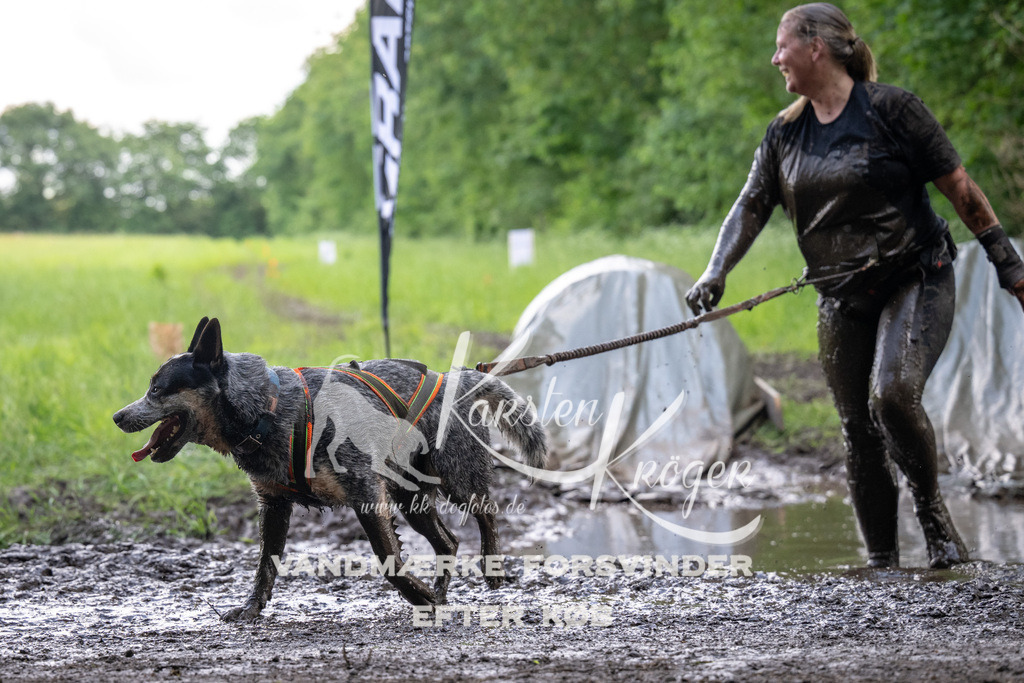 1333_ZZ91612 | kk-dogfotos