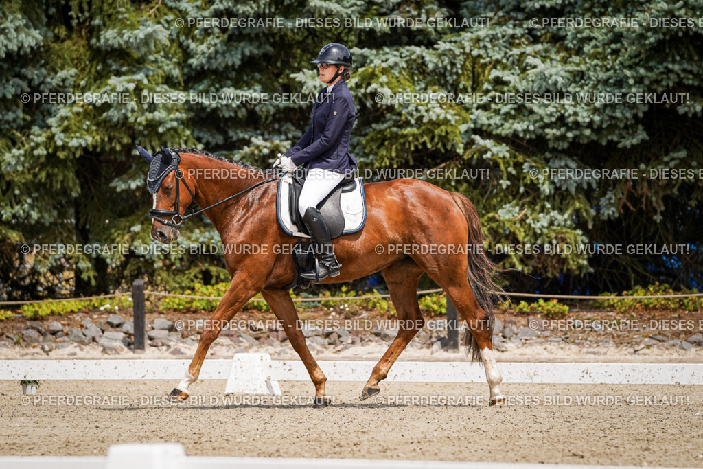 DSC02059 | Pferdegrafie