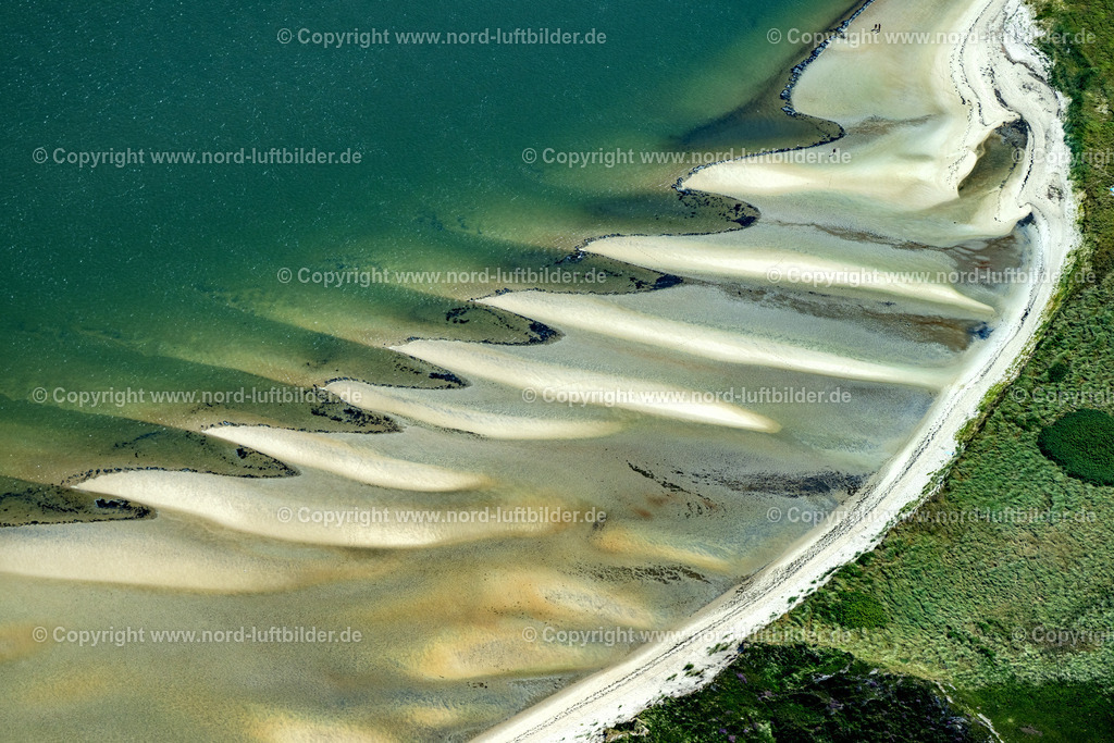 Sylt_Rantum_Sandstrand_Wattseite_Höhe_Sansibar_ELS_5329130825 | RANTUM (SYLT) 13.08.2025 Licht reflektierende Meeres- Wasseroberfläche einer Sandbankreihe in Rantum (Sylt) im Bundesland Schleswig-Holstein, Deutschland. // Light reflecting sea water surfacea row of sandbanks in Rantum (Sylt) in the state Schleswig-Holstein, Germany. Foto: Martin Elsen
