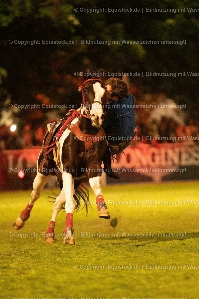 20230526_Pferdenacht_1274 | equistock