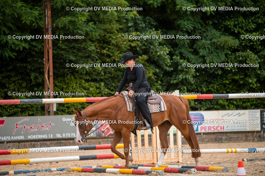 ZS2_8024 | dv-media-shop - Realisiert mit Pictrs.com