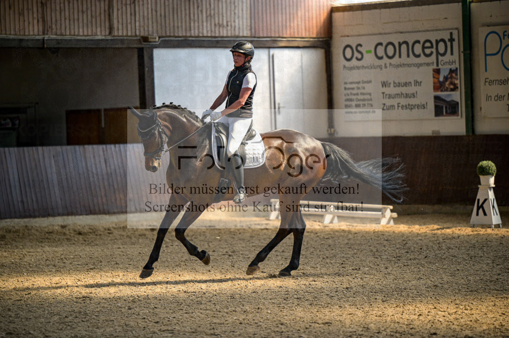 Reitturnier Voxtrup | Entdecke hochwertige Reitturnierfotos von Foto Oger. Professionell, emotional und authentisch – jetzt Lieblingsmomente im Shop bestellen.Deutschlandweite Turnierfotografie. - Realisiert mit Pictrs.com