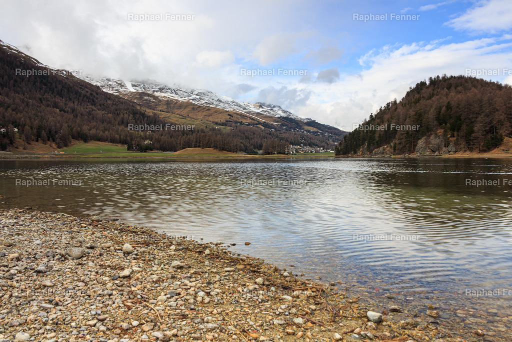 Lej da Silvaplana | Erlebe eindrucksvolle Landschaftsfotografie aus dem Engadin und darüber hinaus. Raphael Fenner bietet zudem professionelle Fotoaufträge für Hochzeiten, Porträts und Unternehmen. Jetzt entdecken und inspirieren lassen!