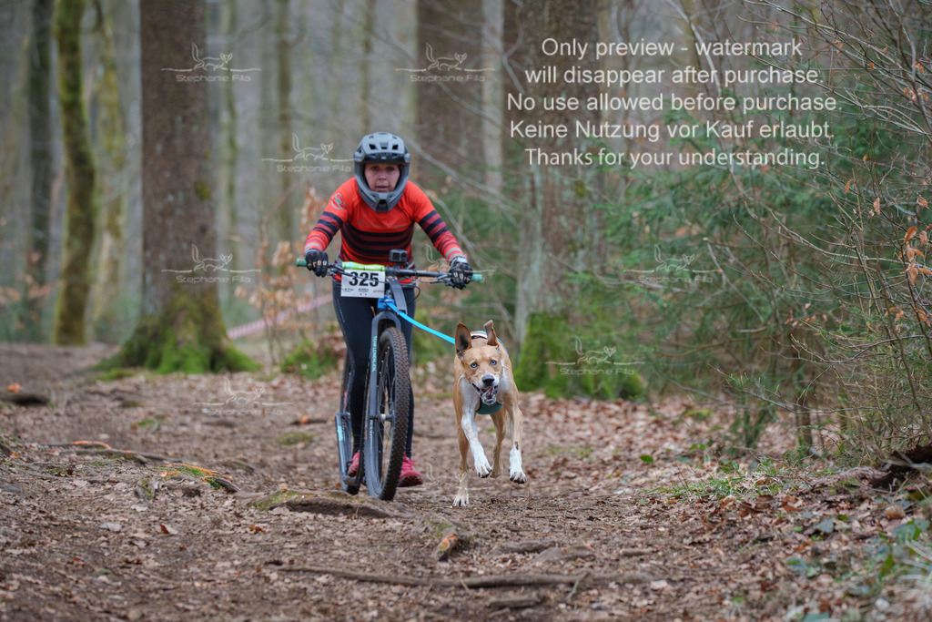 Scooter_So-51 | stephaniefillaphotographie - Realisiert mit Pictrs.com