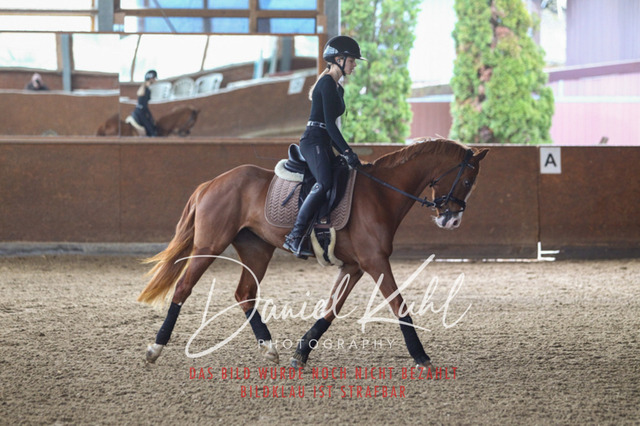 DKP42580 | Turniersportfotografie; Pferdefotografie; Dressurfotografie