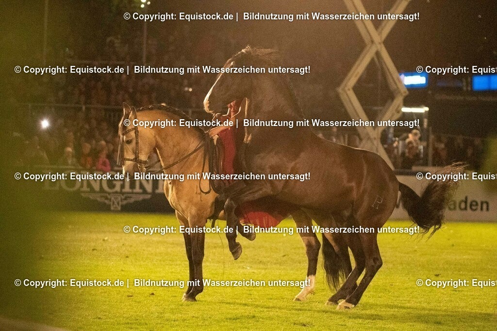 20230526_Pferdenacht_1452 | equistock