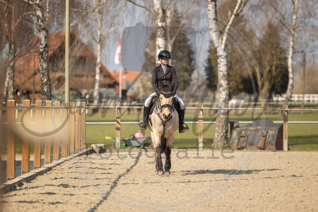 994A9710 | sabrinanicolaifotografie - Realisiert mit Pictrs.com