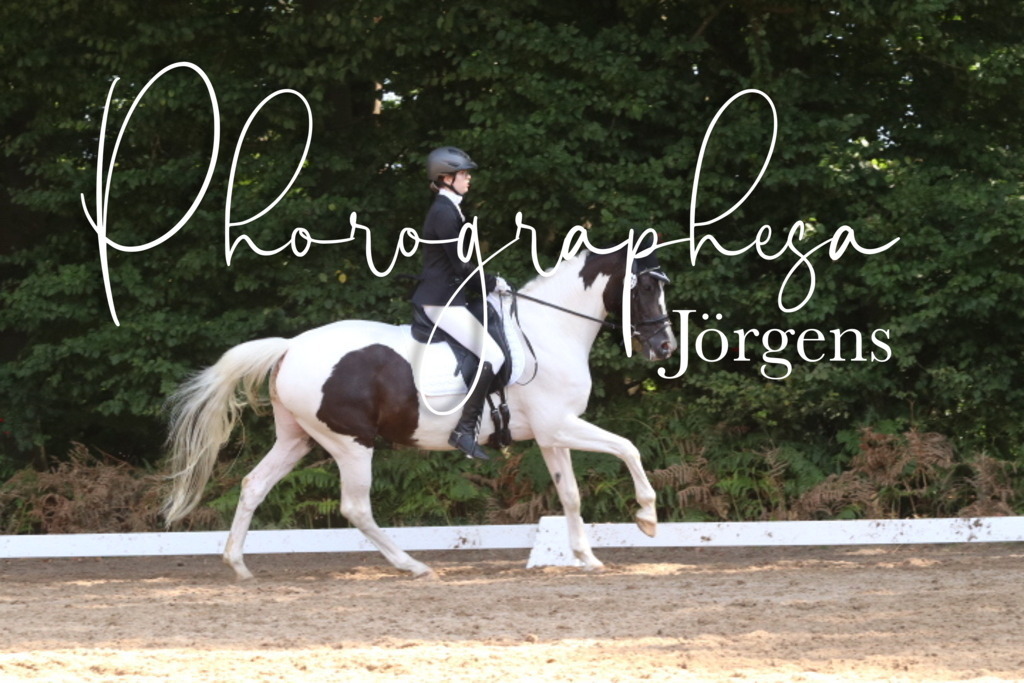 IMG_0628 | photographesa-joergens - Realisiert mit Pictrs.com