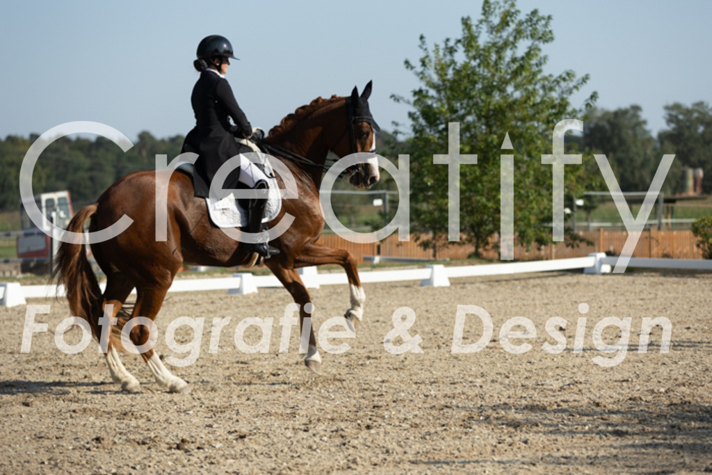 IMG_6381 | Creatify Fotografie