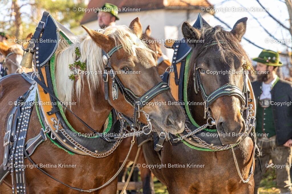 LBT25-1201 | foto-bettina-krinner - Realisiert mit Pictrs.com