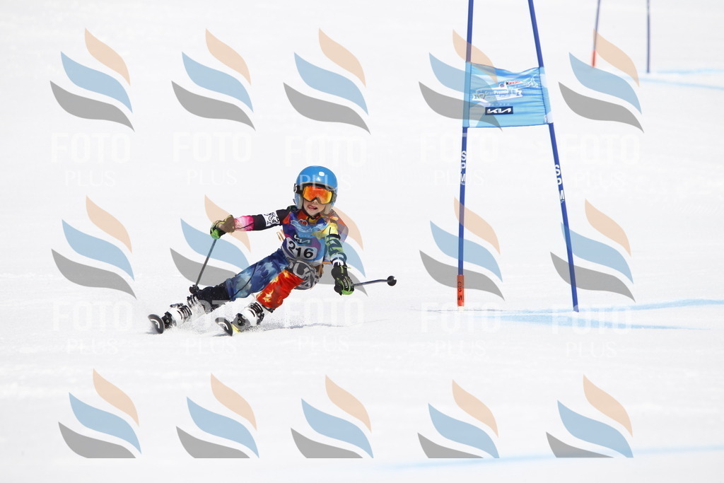 _U3G5567 | holidayphoto