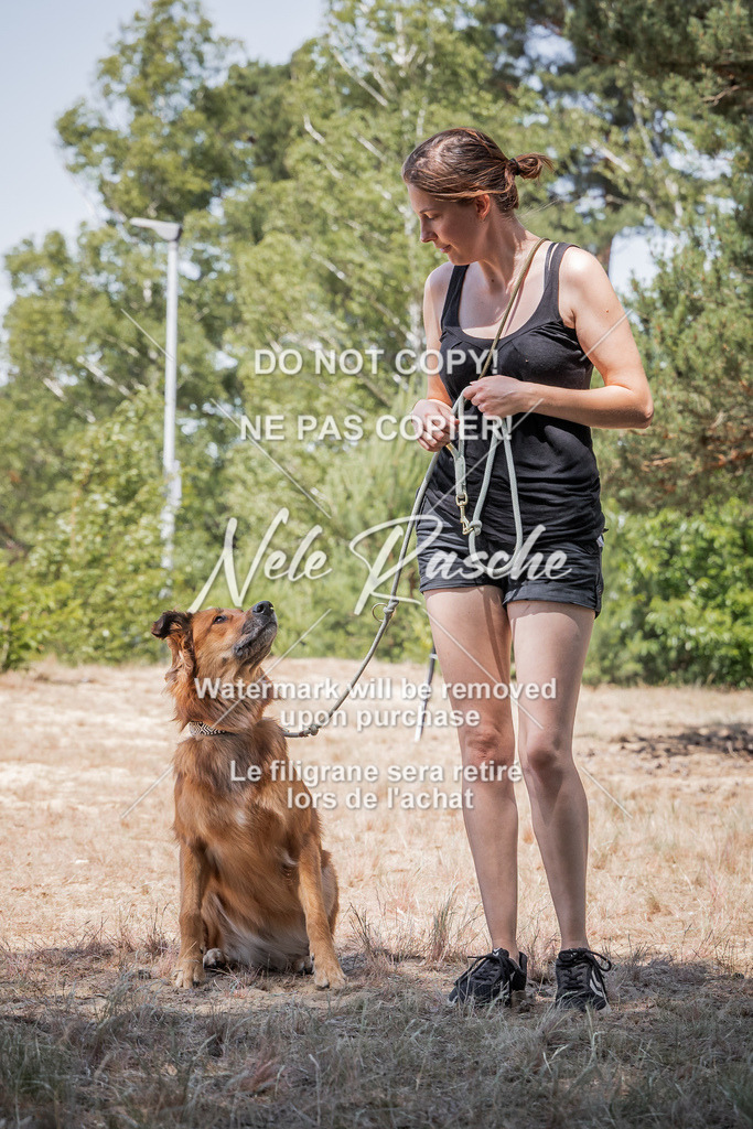 nelerasche_soDD3_212 | nelerasche