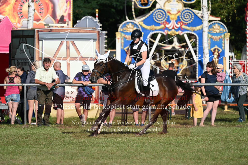 DSC_4998 | Pferde- und Turnierfotografie in Westsachsen. Pferdeportraits, Auftragszeichnungen und intuitive Kunst.
