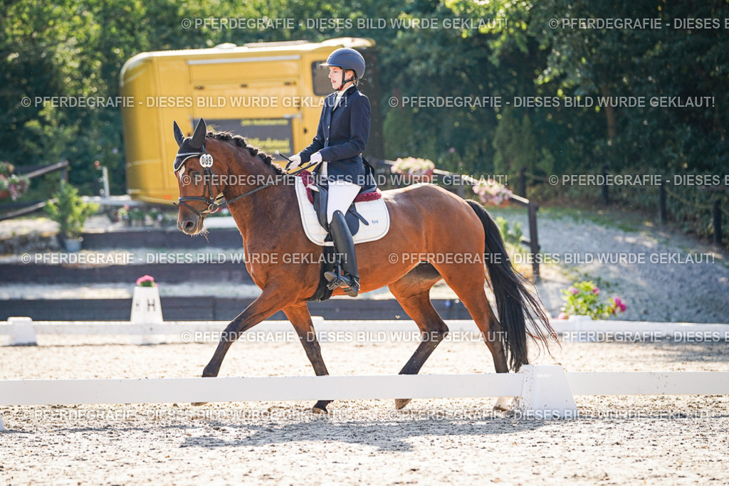 DSC09155 | Pferdegrafie