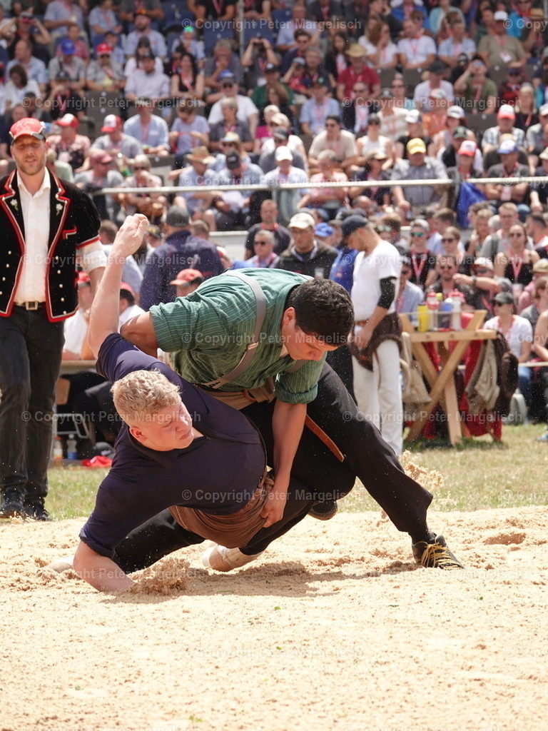 DSC04950 | Schwingen - Realisiert mit Pictrs.com