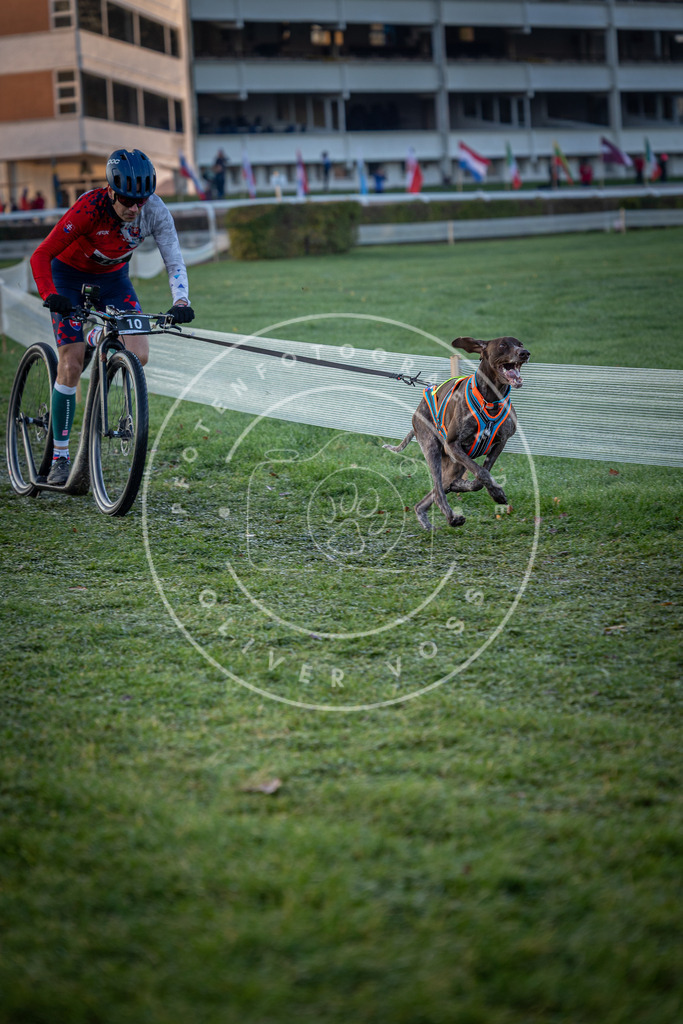 CaniXpix_0L8A1085 | Hundefotografie, Tierfotograf, Pfotenfotografie, Fotoshooting Hund, Hunde Portrait, Hundesport, Hundeportraits, Heideshooting, Hunde, Sportfotograf, Hundefotograf, Turnierhundsport, THS,  - Realisiert mit Pictrs.com