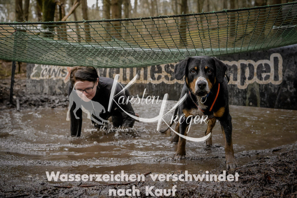 1024_ZZ91231 | kk-dogfotos