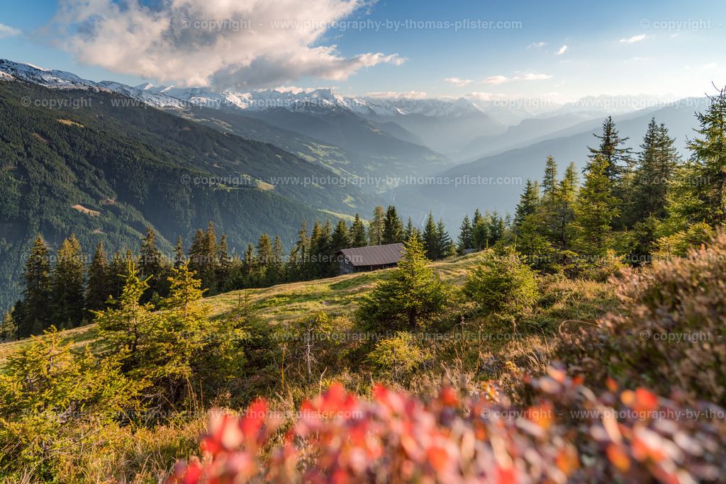 Hamberg Wanderung copyright  Thomas Pfister-9 | PHOTOGRAPHY BY THOMAS PFISTER
