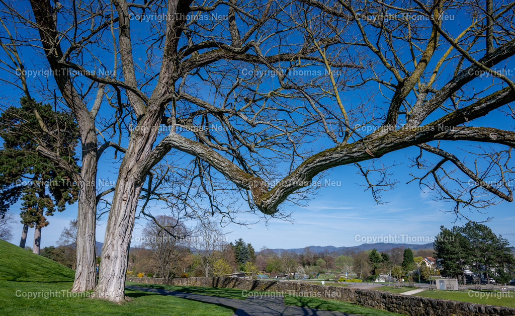 DSC_2162 | ble, Kloster Lorsch, Schattenwurf,Unesco Weltkulturerbe,  , hinte,, Bild: Thomas Neu