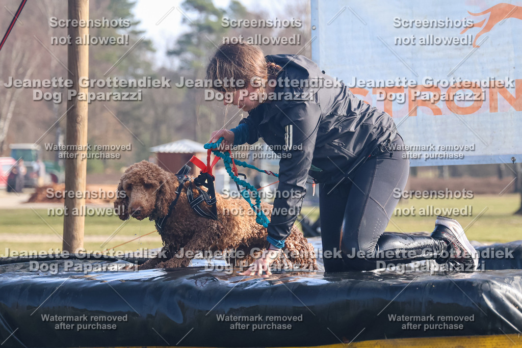 Dog Paparazzi - Strongdog North Mrz26-924 | Dog Paparazzi Jeanette Grottendiek Fotografie & Videografie - Realisiert mit Pictrs.com