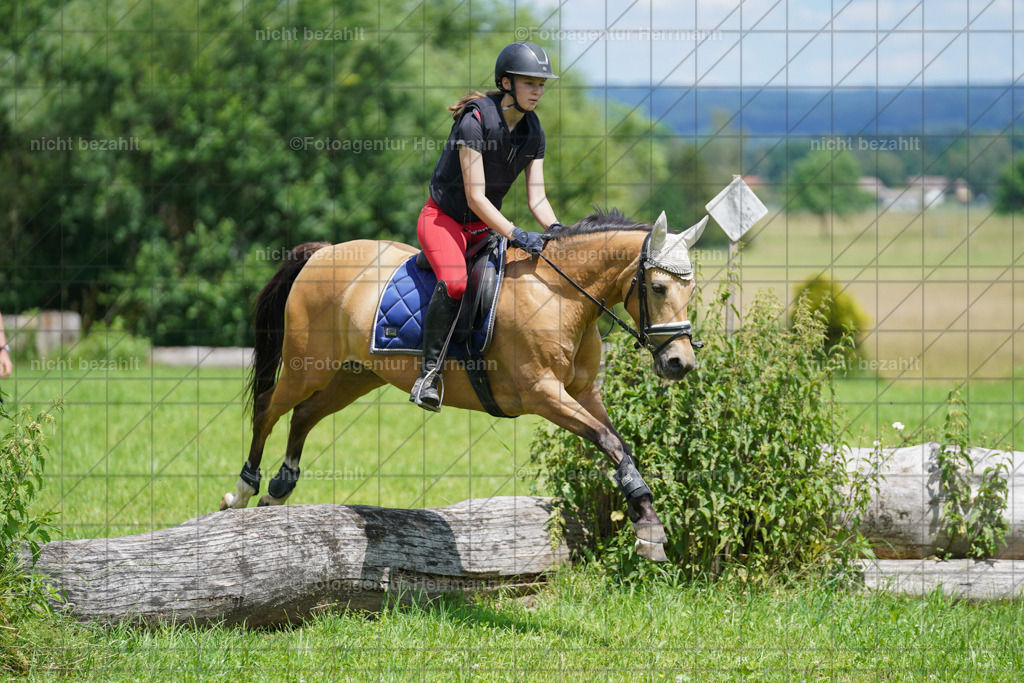 20240622-FAH07271 | Turnierfotografen Bayern, Reitsportbilder aus dem Geländekurs mit Felix Etzel auf dem Gut Waitzacker 2024