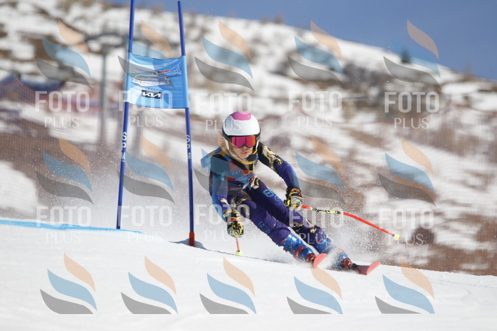 _U3G8663 | holidayphoto