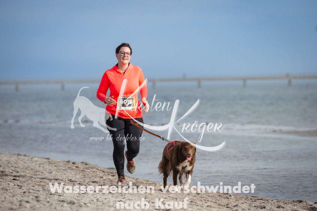 1234_ZZ96965 | kk-dogfotos
