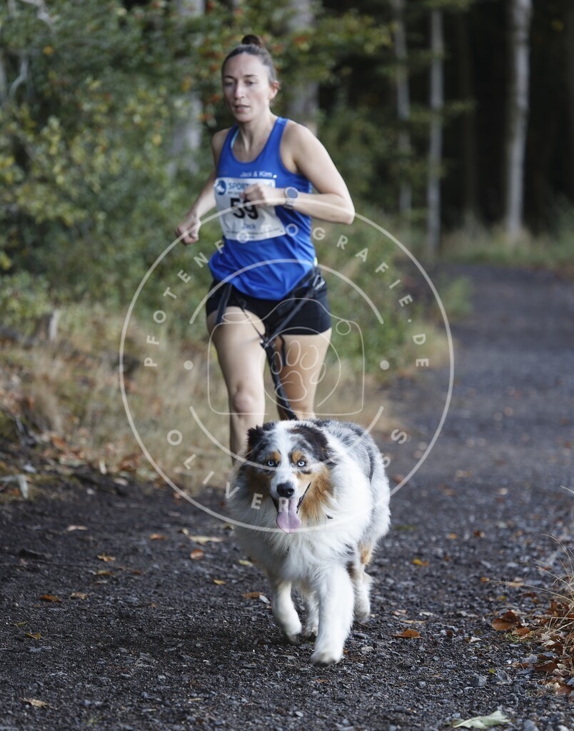 0L8A1854 | Hundefotografie, Tierfotograf, Pfotenfotografie, Fotoshooting Hund, Hunde Portrait, Hundesport, Hundeportraits, Heideshooting, Hunde, Sportfotograf, Hundefotograf, Turnierhundsport, THS,  - Realisiert mit Pictrs.com