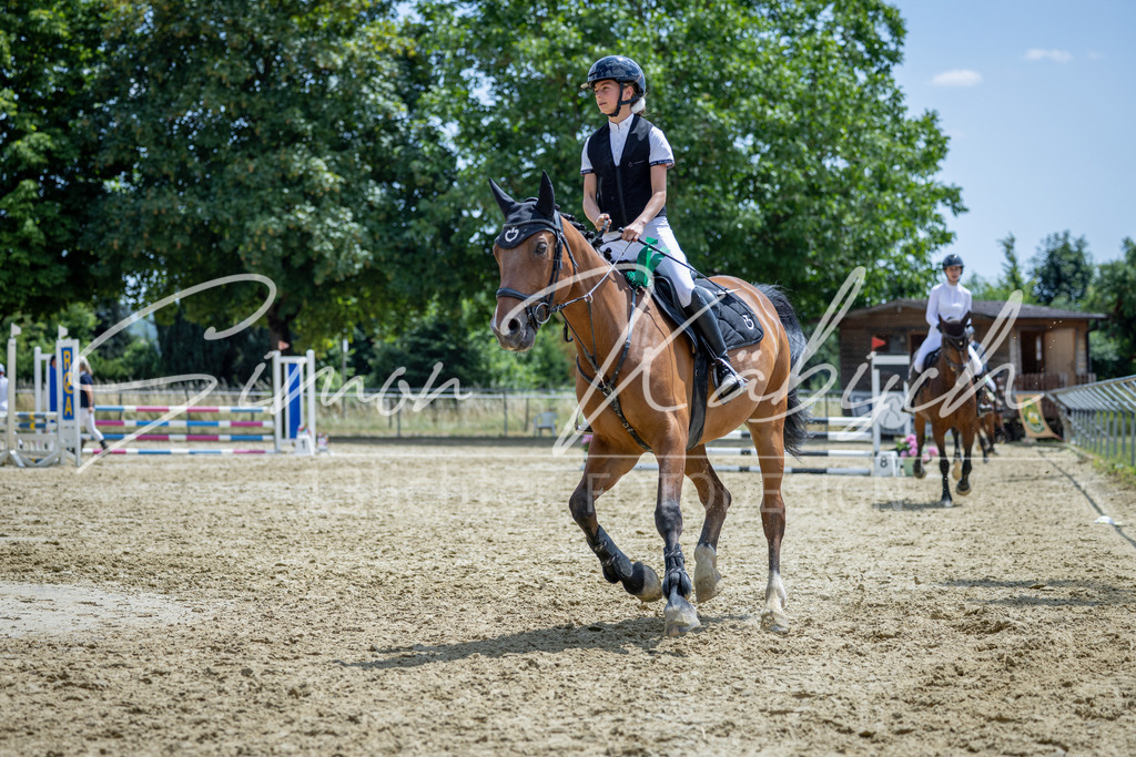 20260704-_3LI9161 | Tierfotografie Pferde, Hunde, Katzen, Haustiere.
Turnierfotografie Reitturniere, Reiten, Springreiten, Dressur in Hanau, dem Main-Kinzig-Kreis und dem Rhein-Main- Gebiet um Frankfurt