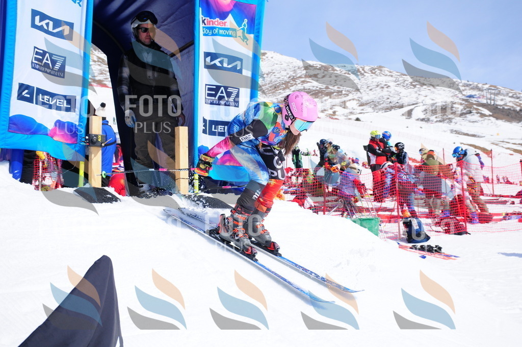 DSC_5261 | holidayphoto