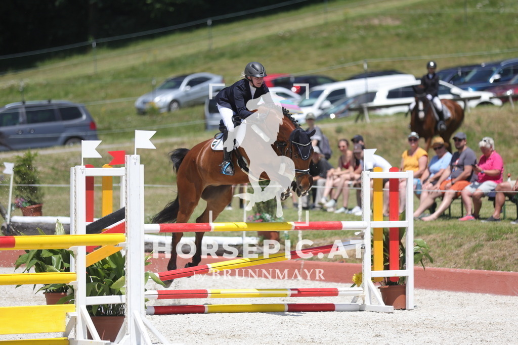 0P6A9249 | Willkommen bei Brunnmayr - Design & Fotografie – Ihrem Spezialisten für Reitturniere und Pferdeveranstaltungen in Oberösterreich, Salzburg und Bayern! Seit über 17 Jahren sind wir leidenschaftlich dabei.