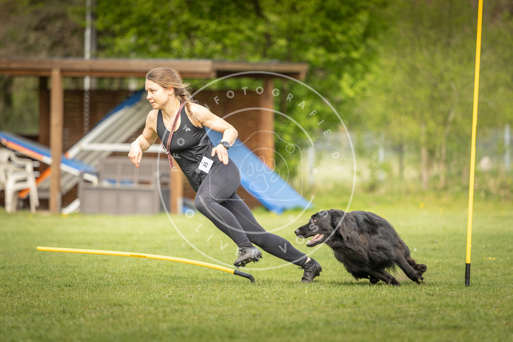 Pfotenfotografie_DV3A5050 | Hundefotografie, Tierfotograf, Pfotenfotografie, Fotoshooting Hund, Hunde Portrait, Hundesport, Hundeportraits, Heideshooting, Hunde, Sportfotograf, Hundefotograf, Turnierhundsport, THS,  - Realisiert mit Pictrs.com
