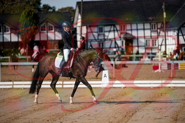 2026_10_03_Siefer-Hof_113334_Z63_19904246 | Professionelle Reitsport-, Turnier- und Eventfotografie von Robert Broda. Galerien mit ausgewählten und bearbeiteten Bildern direkt online ansehen und bestellen.