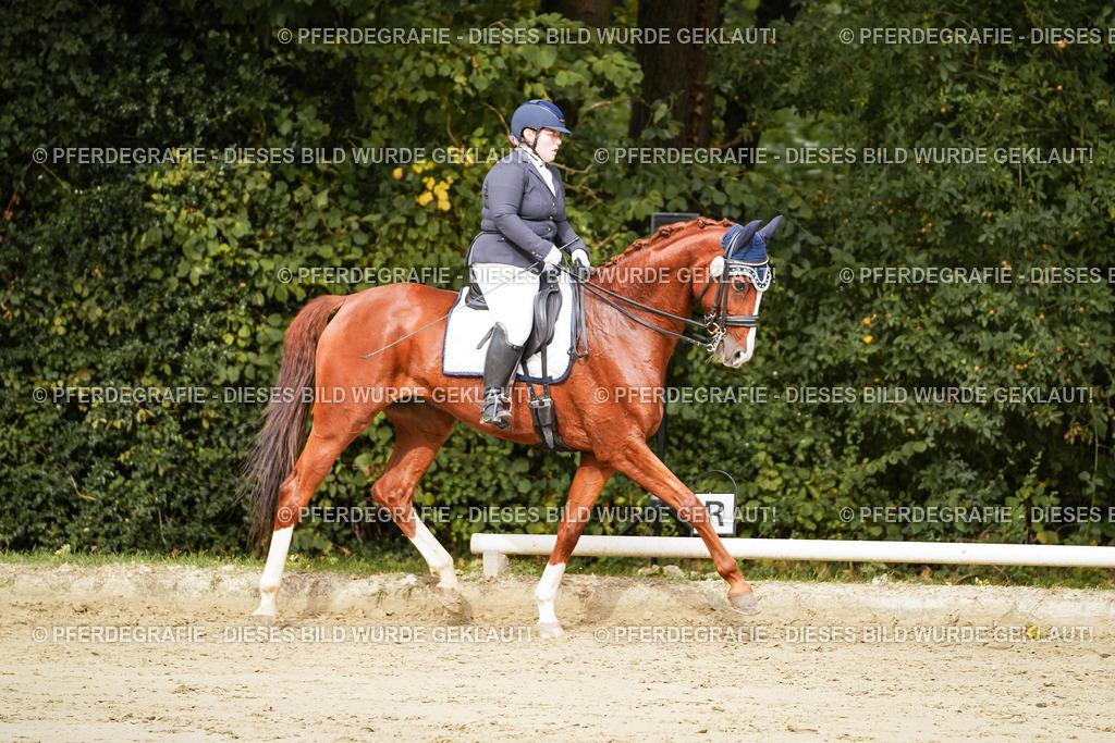 DSC03075 | Pferdegrafie