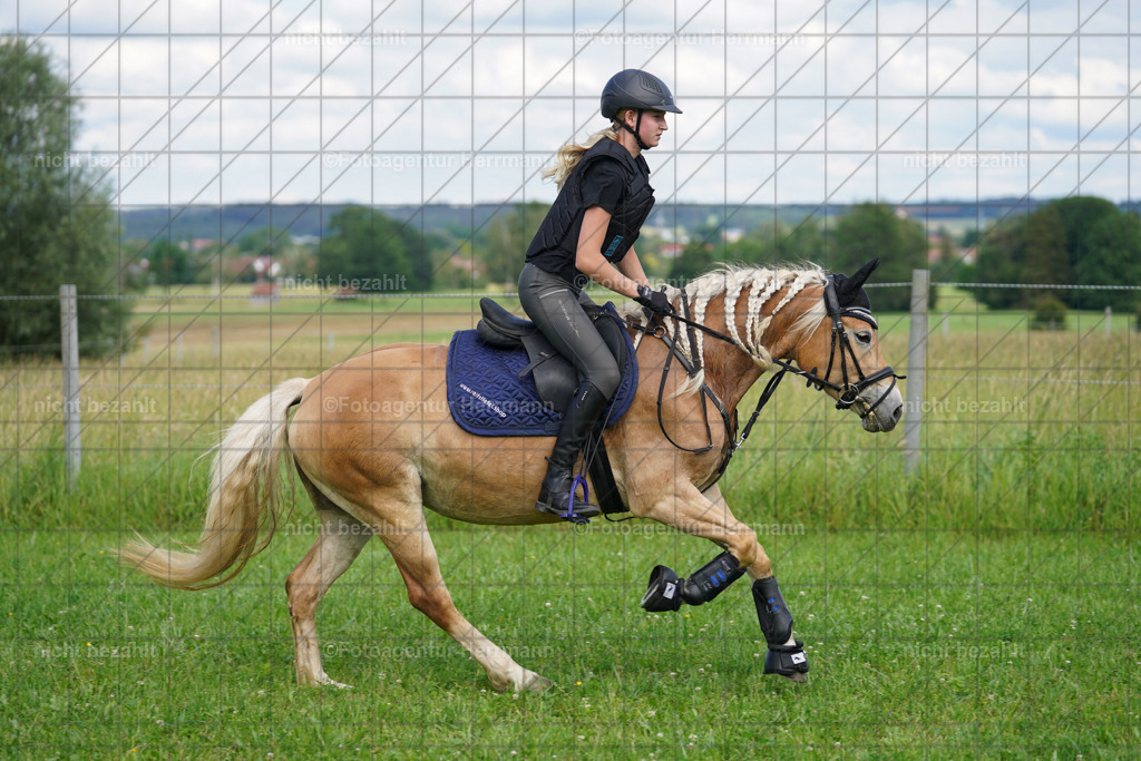 20240622-FAH07945 | Turnierfotografen Bayern, Reitsportbilder aus dem Geländekurs mit Felix Etzel auf dem Gut Waitzacker 2024