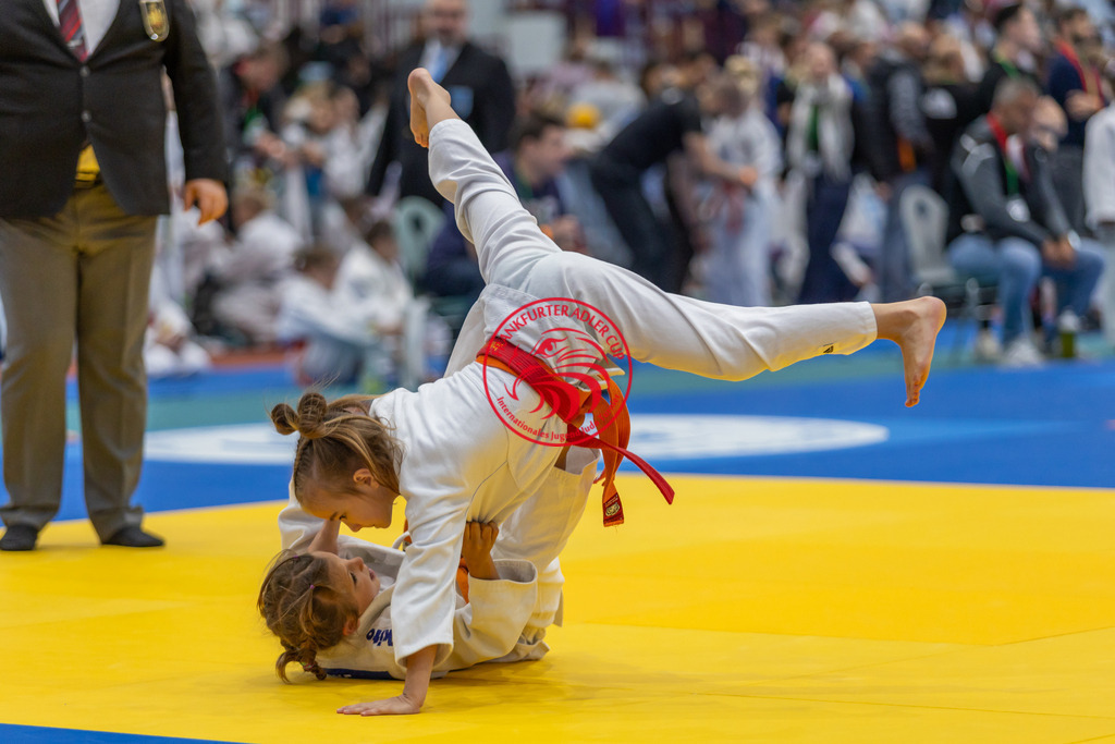 Internationaler Adler Cup 2024 | Foto vom Internationalen Adler Cup Judo Turnier im Sport- und Freizeitzentrum Kalbach im Oktober 2024 - Realisiert mit Pictrs.com
